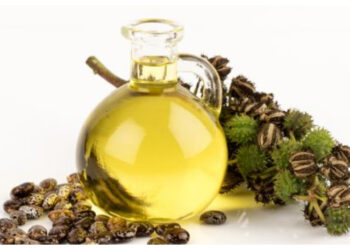 Beragam Manfaat Minyak Jarak untuk Kesehatan dan Kecantikan