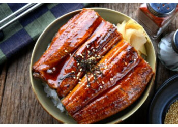 Belut, Sumber Protein Tinggi dengan Banyak Manfaat Kesehatan