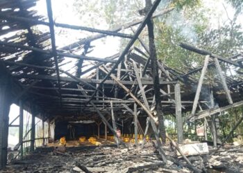 Korsleting Listrik 5000 Ekor Ayam Mati Terpanggang Api di Babakan Situgirang