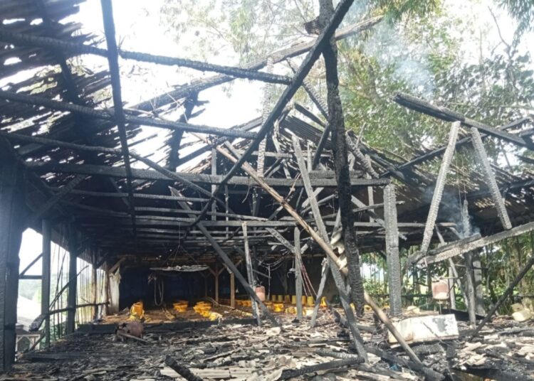 Korsleting Listrik 5000 Ekor Ayam Mati Terpanggang Api di Babakan Situgirang