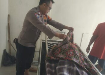 Tali Pengaman Putus, Wawan Tewas Terjatuh Dari Pohon Kelapa Setinggi 15 Meter