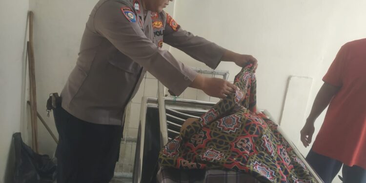 Tali Pengaman Putus, Wawan Tewas Terjatuh Dari Pohon Kelapa Setinggi 15 Meter