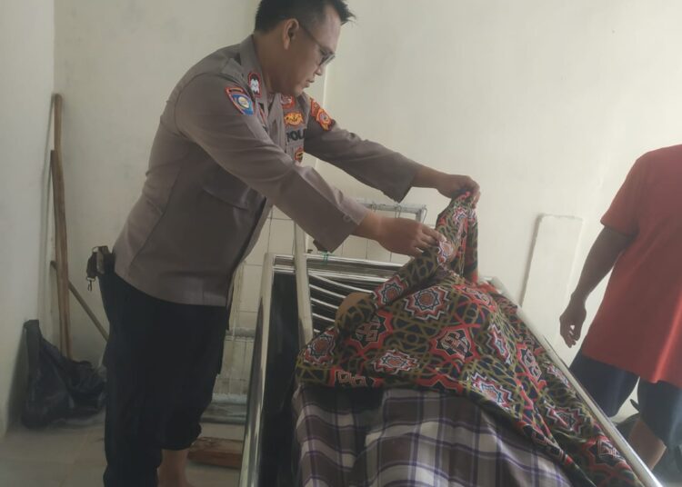 Tali Pengaman Putus, Wawan Tewas Terjatuh Dari Pohon Kelapa Setinggi 15 Meter