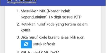 Ini Cara Mudah Cek Bansos dan Desil DTSEN