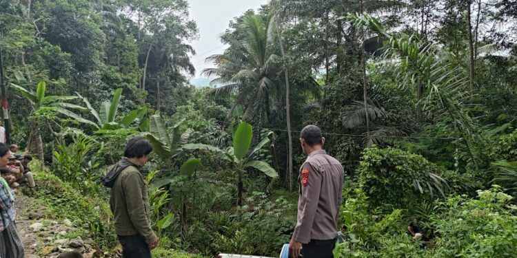 Tak Kuat Menanjak Mobil Toyota Triton Mundur dan Masuk Ke Jurang