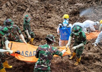 Tim SAR Gabungan Kembali Temukan Tujuh Bodypack, Total 92 Bodypack Ditemukan Hingga Hari ke-12