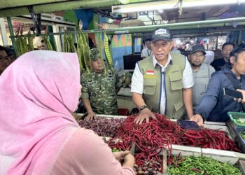 Bulog Pastikan Stok dan Harga Beras dan Minyakita Stabil Selama Ramadhan dan Lebaran 2026