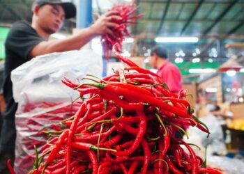 Bapanas: Pasokan Membaik, Harga Cabai Rawit Merah Mulai Melandai