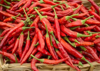 DPR Soroti Kenaikan Harga Cabai yang Terus Berulang Tiap Tahun