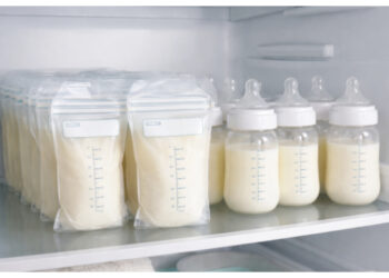 Jangan Salah, Ini Cara Tepat Menyimpan ASI di Kulkas agar Tetap Aman dan Bernutrisi