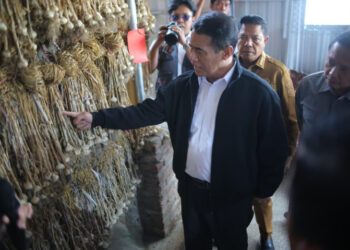 Mentan: NTB Jadi Salah Satu Pusat Komoditas Bawang Putih dan Jagung Nasional