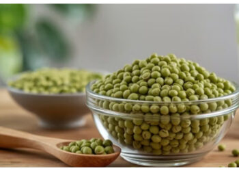 Protein Kacang Hijau, Sumber Nutrisi Nabati yang Kaya Manfaat