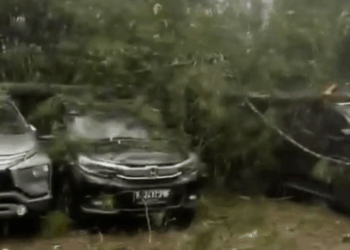 Cuaca Ekstrem, Belasan Mobil Tertimpa Pohon Pohon Pinus yang Tumbang di Kawasan Wisata Pangalengan