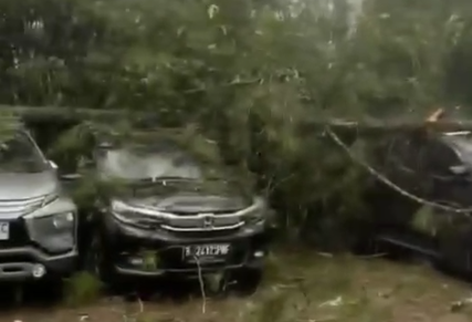 Cuaca Ekstrem, Belasan Mobil Tertimpa Pohon Pohon Pinus yang Tumbang di Kawasan Wisata Pangalengan
