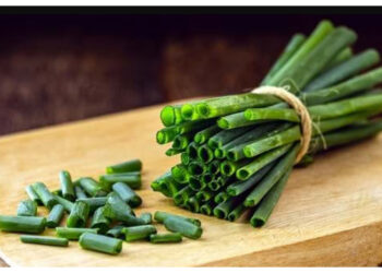 Tak Hanya Penyedap Masakan, Ini Manfaat Lokio untuk Kesehatan