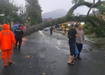 Pohon Tumbang dan Jembatan Cijemit Hanyut Disapu Angin dan Banjir