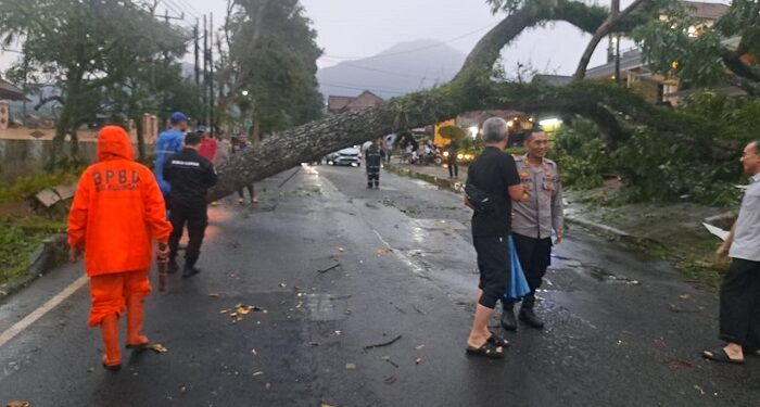 Pohon Tumbang dan Jembatan Cijemit Hanyut Disapu Angin dan Banjir