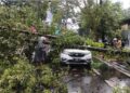 Pohon Tumbang di Sejumlah Titik di Bandung, Ada Mobil Tertimpa