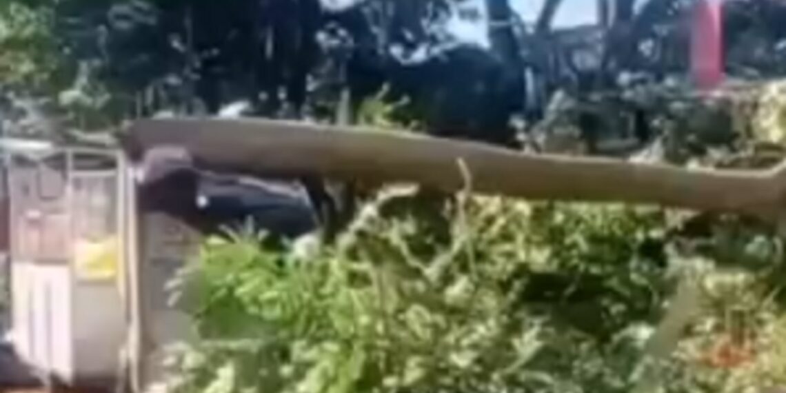 Cimahi Diterjang Puting Beliung