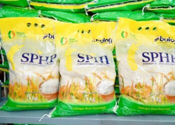 Program SPHP Beras 2026 Mulai Digulirkan Maret, Ketentuan Pembelian Maksimal Ditingkatkan Bapanas