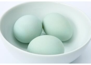 Telur Bebek vs Telur Ayam, Mana yang Lebih Bergizi?
