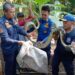 Ular Sanca Kembang Memangsa Ayam di Kandang Berhasil Dievakuasi Tim Damkar