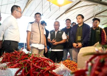 Pemerintah Terus Jaga Stabilitas Pasokan dan Harga Pangan Selama Ramadan, Ini Faktanya