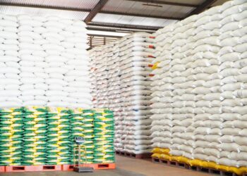 Stok Pangan Nasional Kuat, Ini Penjelasan Bapanas