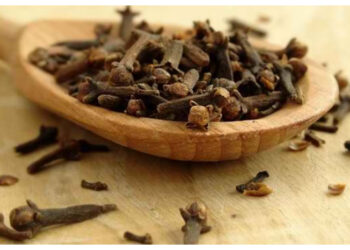 Cengkeh, Obat Tradisional yang Efektif untuk Mengatasi Sakit Gigi