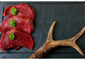 Tips Aman Mengolah Daging Rusa agar Tetap Sehat dan Bergizi