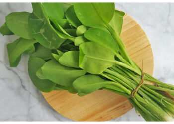 Daun Genjer dan Khasiatnya untuk Daya Tahan Tubuh