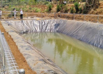 Hadapi Musim Kemarau, Kementan Perkuat Mitigasi Kekeringan di Sektor Perkebunan