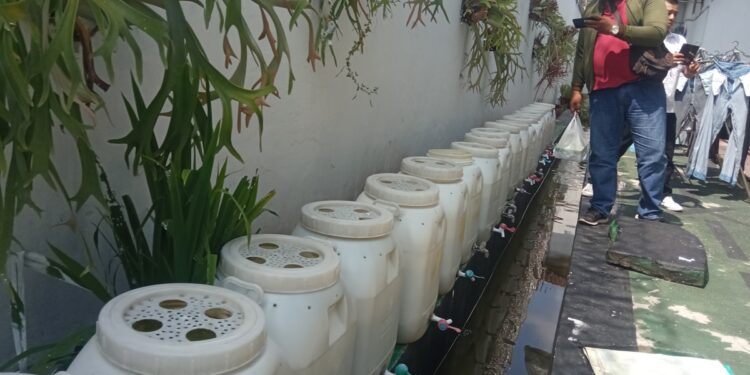 Dukung Ketahanan Pangan, Lapas Tasikmalaya Panen Lele Lima Kali dalam Tiga Bulan