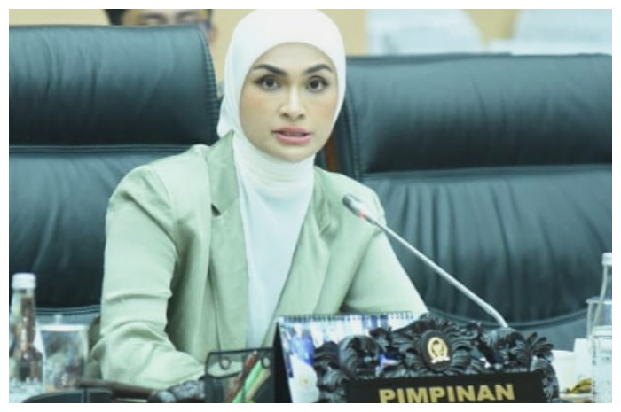 DPR Dukung Penindakan Tegas Perusahaan Pencemar Lingkungan