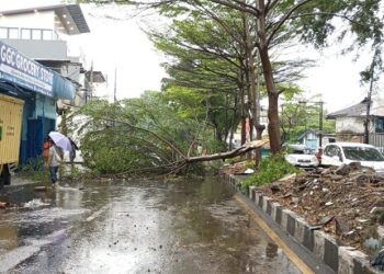 Dampak Hujan Deras, 31 Pohon Tumbang, Dua Baliho Roboh dan Tanggul Jebol