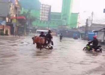 Sejumlah Titik di Kab. Bandung Masih Diterjang Banjir, Jalan Dayeuhkolot Tak Bisa Dilalui Kendaraan