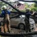 Pohon Tumbang di Kota Bandung Menimpa 2 Mobil