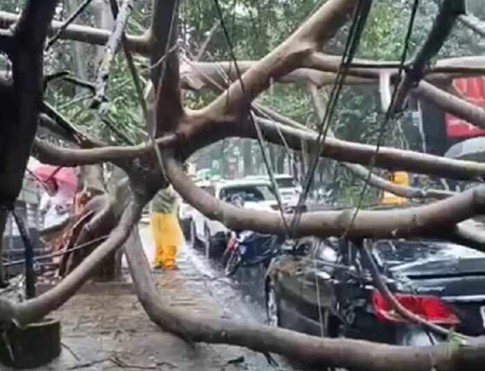 Hujan Lebat Disertai Angin Kencang Terpa Bandung, Papan Reklame dan Pohon Bertumbangan