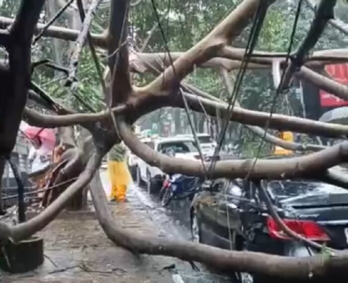 Hujan Lebat Disertai Angin Kencang Terpa Bandung, Papan Reklame dan Pohon Bertumbangan