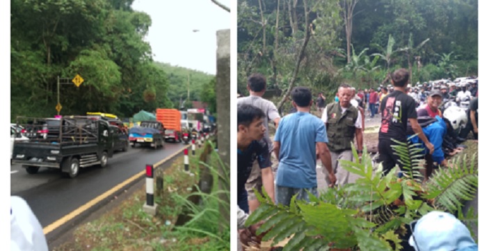 Pohon Tumbang di Turunan Nagreg,  Kendaraaan ke Arah  ke Garut dan Tasik   Sempat Lumpuh