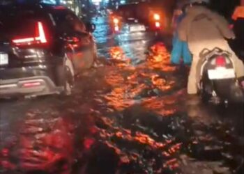 Hujan Disertai Angin Kencang di Pusat Kota : Sejumlah Pohon Tumbang dan Banjir Genangi Jalan Protokol