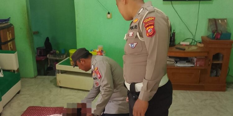 Pria Tewas Tersengat Listrik Saat Tebang Pohon