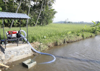 Pompanisasi dan Pupuk Terjaga, Petani Tetap Produksi di Tengah Kemarau