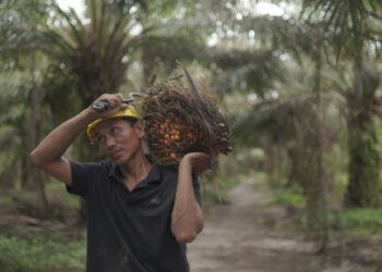 Ekspor CPO Menguat, Nilai Tembus 4,69 Miliar Dolar AS di Awal Tahun 2026