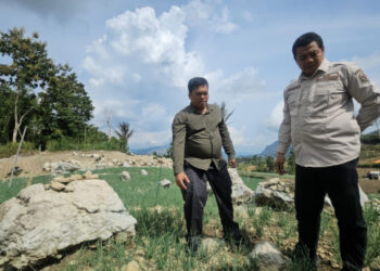 Kementan Gencarkan Pengembangan Hortikultura Lahan Kering untuk Antisipasi El Nino