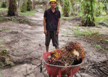 Kementan: Hilirisasi CPO Tekan Impor Solar dan Perkuat Ekonomi Nasional