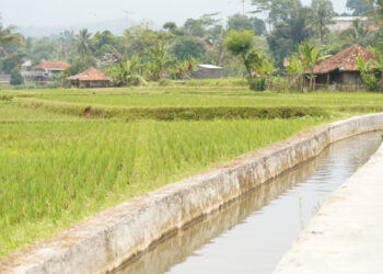 Mentan: Percepat Lima Strategi Utama Mitigasi Kekeringan Hadapi El Nino