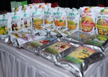 Perkuat UMKM Pertanian, Kementerian UMKM Dorong Akses Pasar dan Pembiayaan