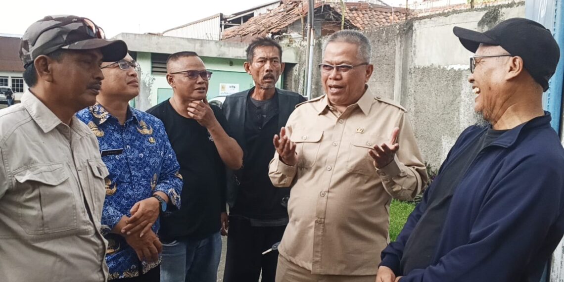 Deni Dorong Penguatan Sarana Penanganan Pohon Rawan Tumbang