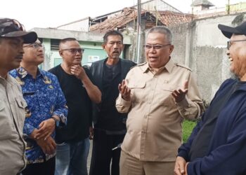 Deni Dorong Penguatan Sarana Penanganan Pohon Rawan Tumbang